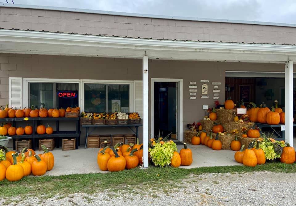 Haslinger Orchards LLC